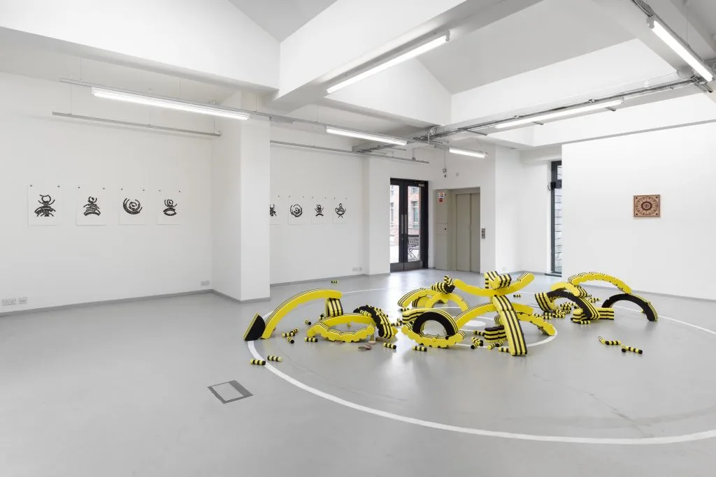 Yelena Popova's exhibition, Townlets at The Art House, Wakefield