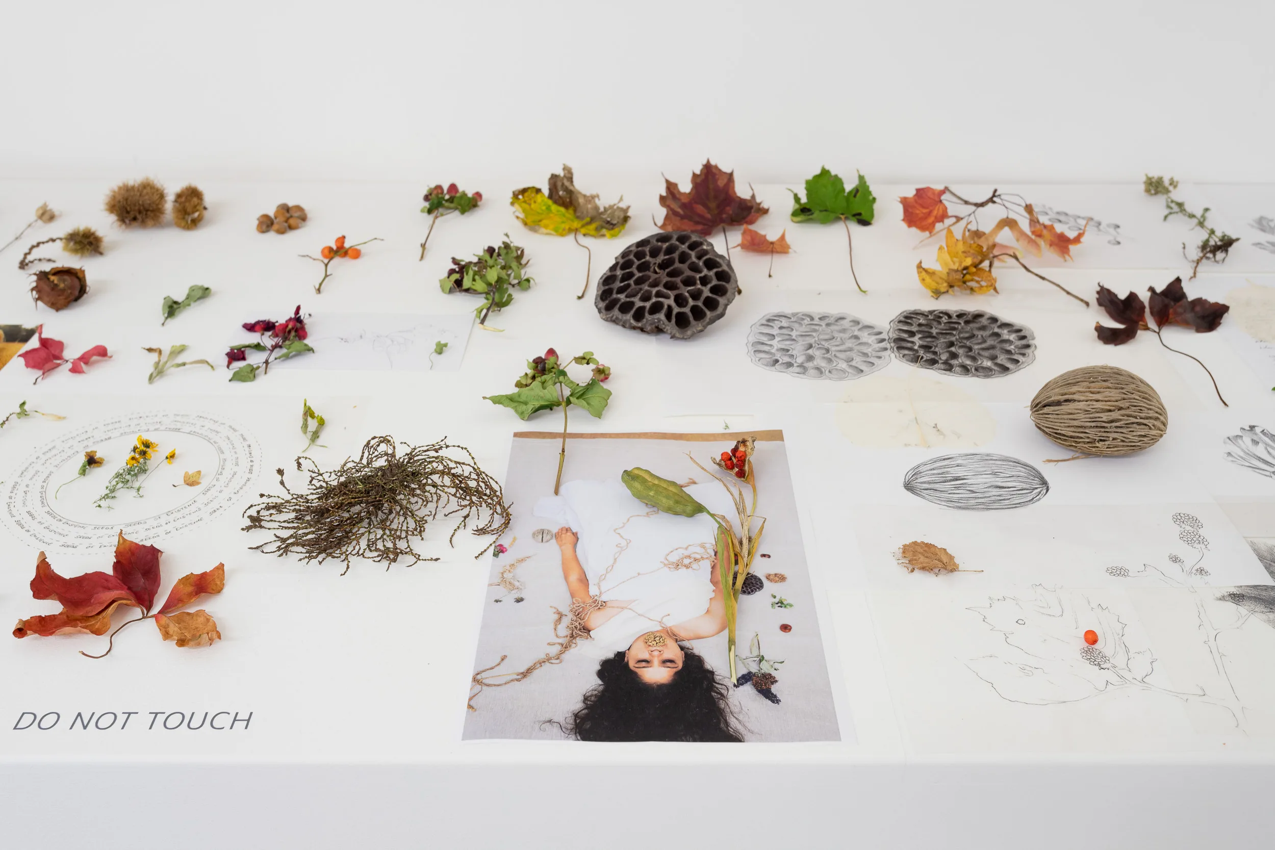 Cole Ndula & Dimple B. Shah, ROSL Residency at the Art House