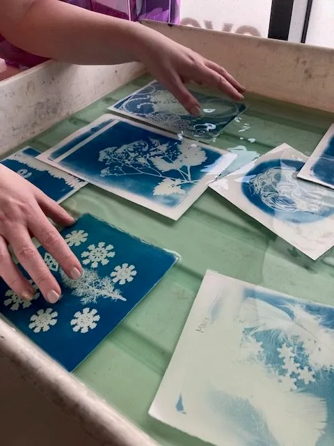 Cyanotypes in paper bath