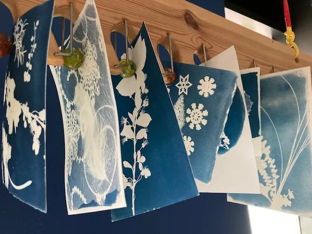 Cyanotypes drying