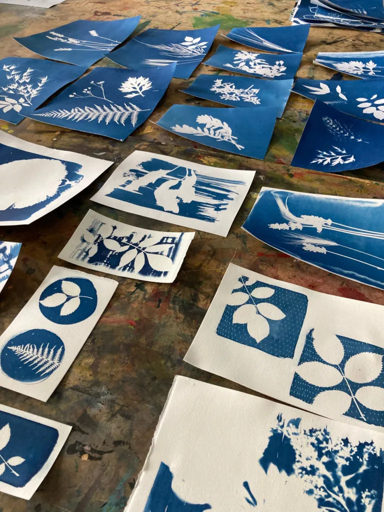 A selection of cyanotypes