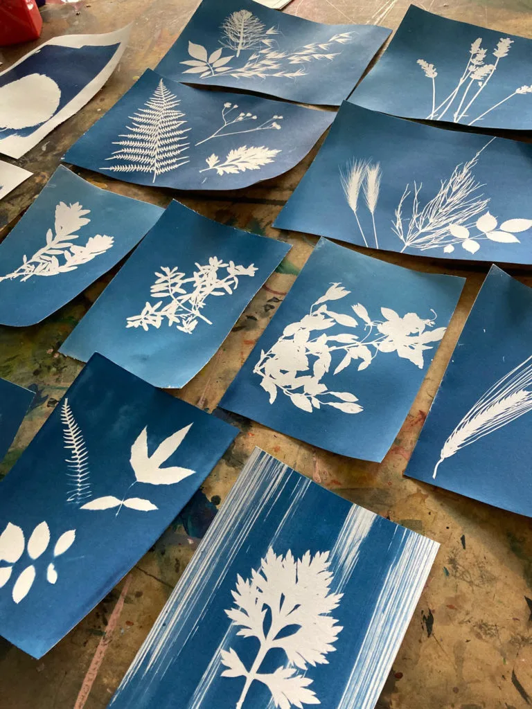 A selection of cyanotypes