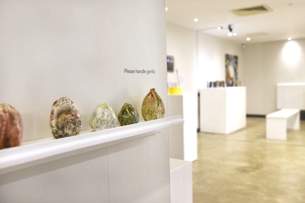 Nature Sensory Gallery Exhibition Photograph