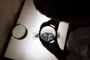 Image from Artist Residency with Lilah Benetti