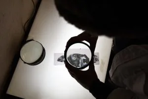 Image from Artist Residency with Lilah Benetti