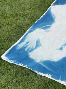 Emily Ryalls cyanotype