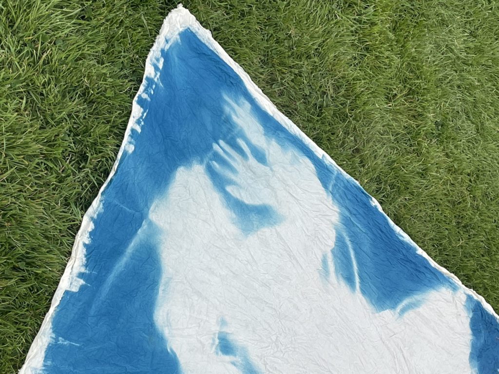 Emily Ryalls cyanotype