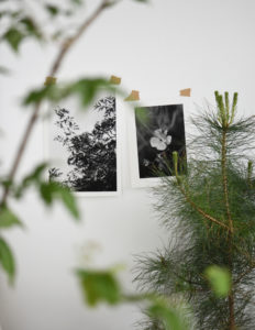 Photograph of Charlotte Smithson's studio