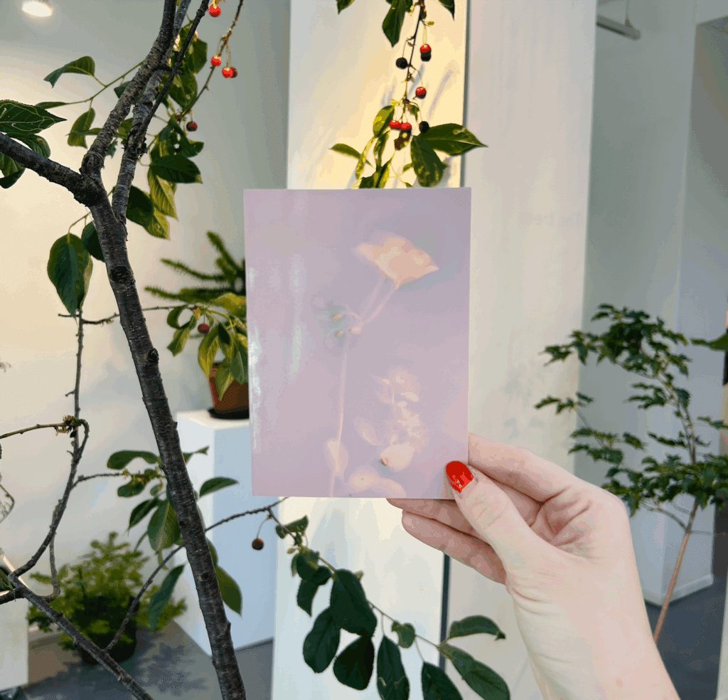 Lumen Print