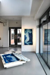 Cyanotype Prints on Fabric in Emily Ryalls: Divine Archives