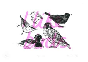 Screen print reading 'I like birds' with printed illustrations of birds overlayed.